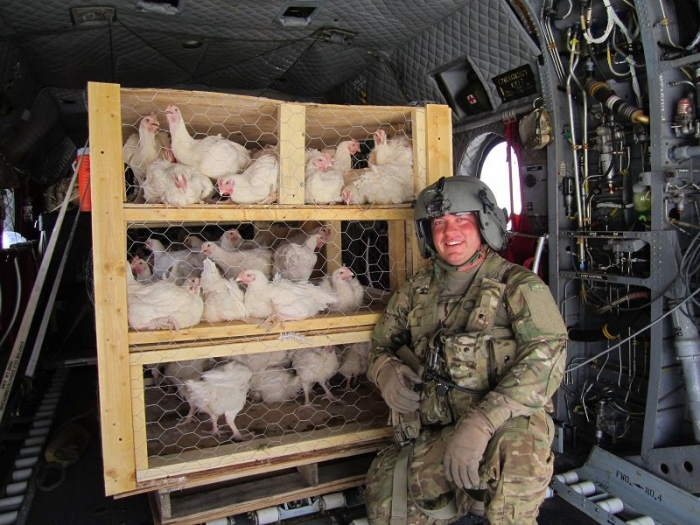 SFC Rob Stephens, Platoon Sergeant and Flight Engineer from B Company - "Sugarbears", 1-52nd General Support Aviation Battalion (GSAB), 16th Combat Aviation Brigade (CAB), Fort Wainwright, Alaska, transports chickens around Afghanistan in 2011.