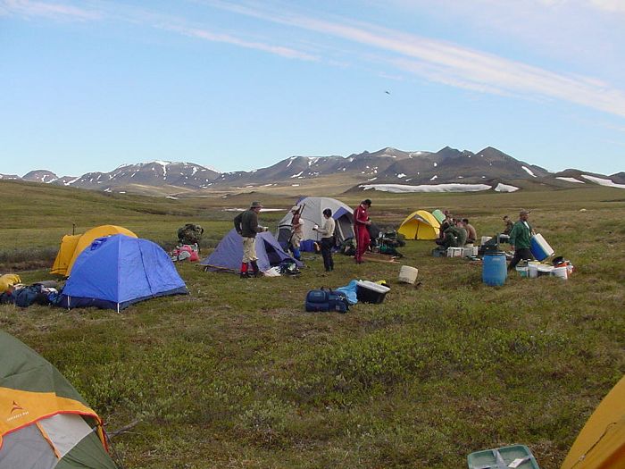 The Team sets up Camp near the Ichthyosaur extraction site.