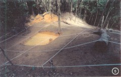 The excavation site of 66-19053 in the RVN.