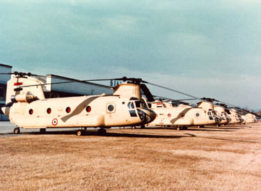 Egyptian CH-47C Chinook, circa 1981.